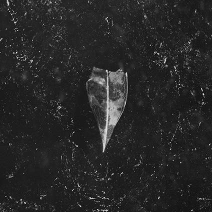 Aion (White Vinyl) - Vinile LP di Bees Made Honey in the Vein Tree