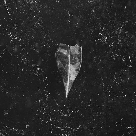 Aion (White Vinyl) - Vinile LP di Bees Made Honey in the Vein Tree