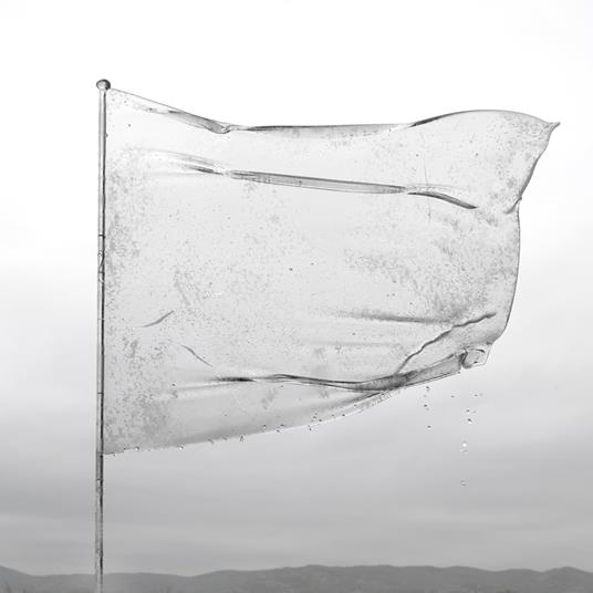 The Shape Of Fluidity - Vinile LP di Dool