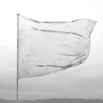 The Shape Of Fluidity - Vinile LP di Dool