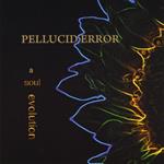 Pellucid Error - Soul Evolution