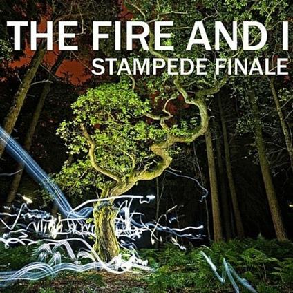 Stampede Finale - CD Audio di I-Fire
