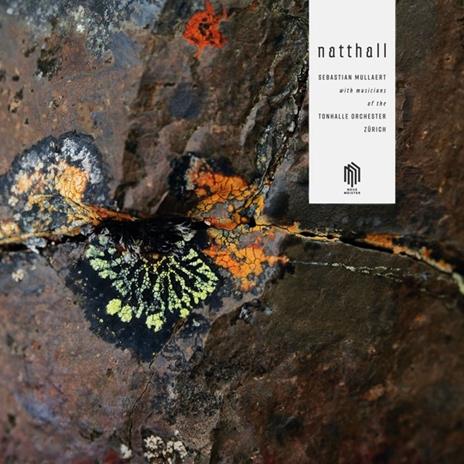 Natthall - Vinile LP di Sebastian Mullaert