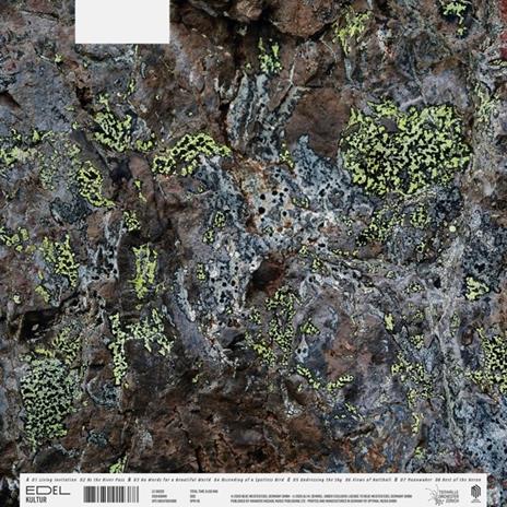 Natthall - Vinile LP di Sebastian Mullaert - 2