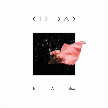 In a Box - CD Audio di Kid Dad