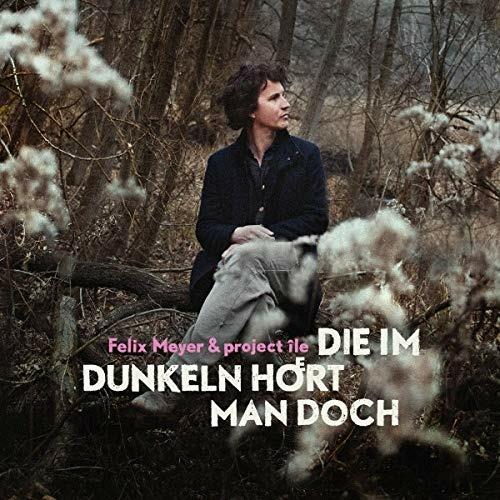 Die Im Dunkeln Hoert Man Doch (Limited Edition) - CD Audio di Felix Meyer