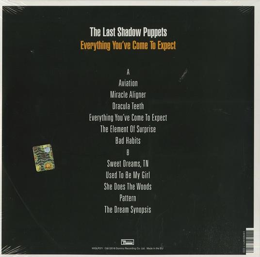 Everything You’ve Come to Expect - Vinile LP di Last Shadow Puppets - 2
