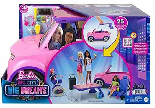 Barbie Playset And Accessory