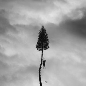 A Black Mile to the Surface - Vinile LP di Manchester Orchestra