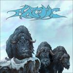 Arctic - Vinile LP di Arctic