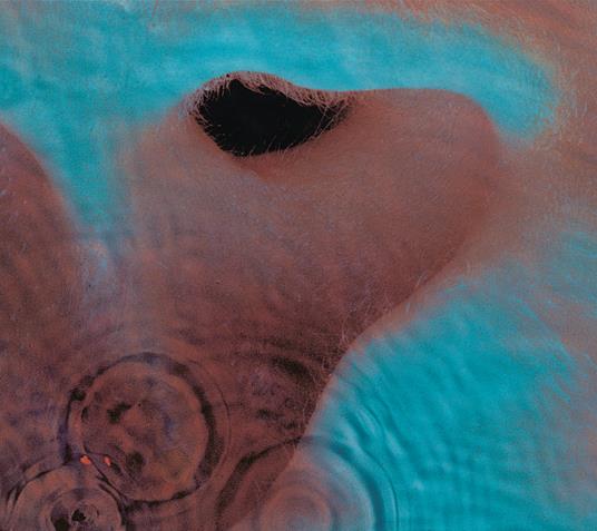 Meddle (2016 Version) - Vinile LP di Pink Floyd