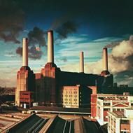 Animals (LP)