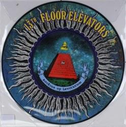Rockius of Levitatum - Vinile LP di 13th Floor Elevators