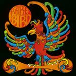 Rare Bird