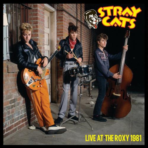 Live At The Roxy 1981 - CD Audio di Stray Cats