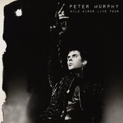 Wild Birds Live Tour (Purple & Black) - Vinile LP di Peter Murphy