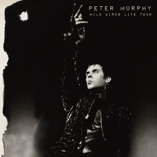 Wild Birds Live Tour (Purple & Black) - Vinile LP di Peter Murphy
