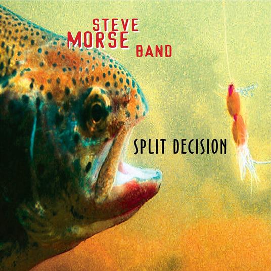Split Decision - CD Audio di Steve Morse