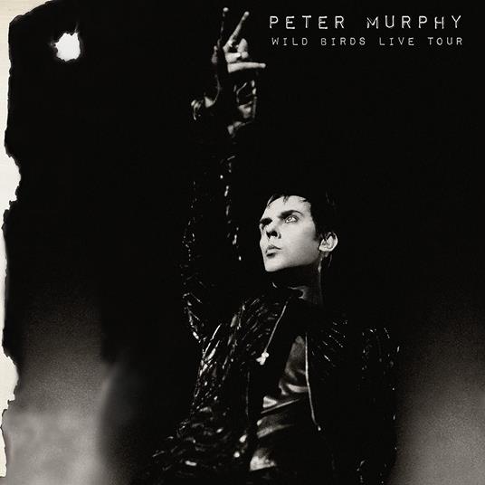Wild Birds Live Tour - CD Audio di Peter Murphy