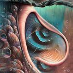 Meddle Reimagined