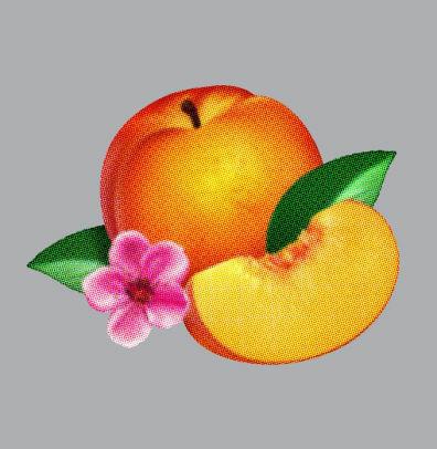 Bankrupt! - CD Audio di Phoenix