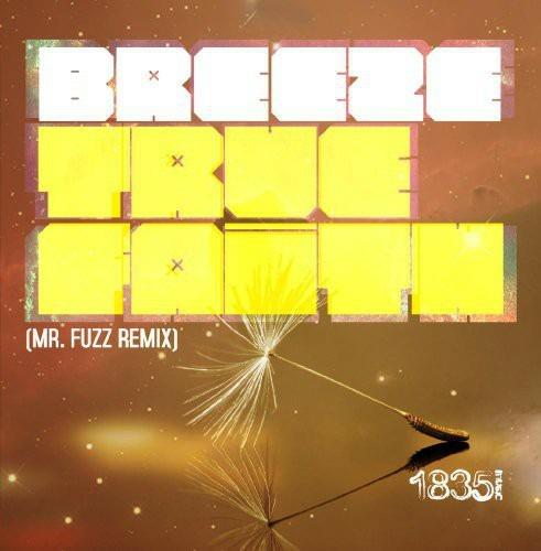 True Faith (Mr Fuzz Remix) - CD Audio di Breeze