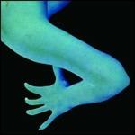 Coconuts - Vinile LP di Coconuts