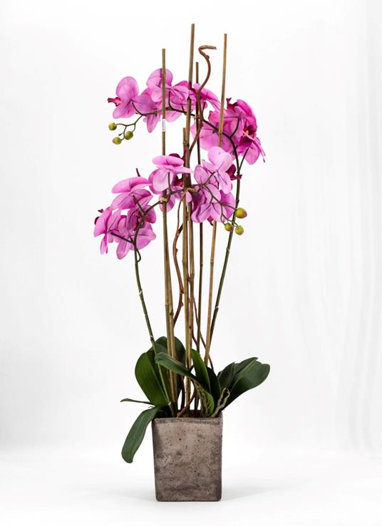 Phalaenopsis Orchidea Artificiale 80Cm Con Vaso Quadrato Rosa Fiori Piante  Artificiali - Peragashop - Idee regalo