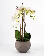Phalaenopsis Orchidea Artificiale 50Cm Con Vaso Ovale Bianca Fiori Piante Artificiali