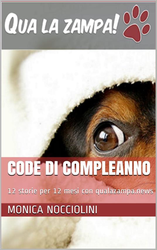 Code di compleanno - Monica Nocciolini - ebook