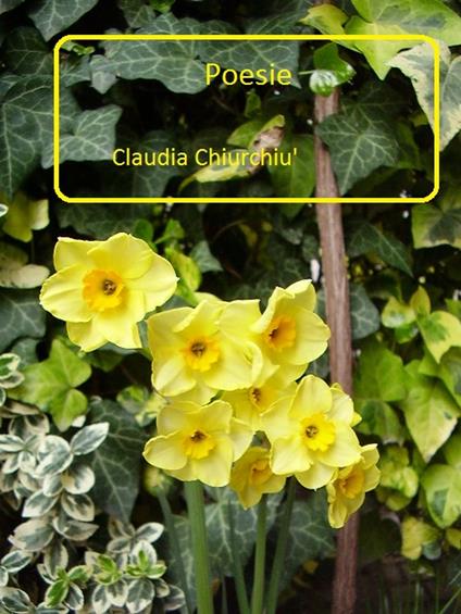 Poesie - claudia chiurchiu' - ebook