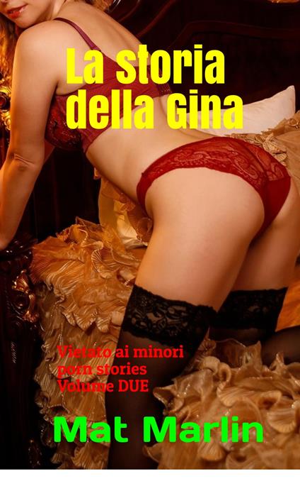 La storia della Gina, volume due (porn stories) - Mat Marlin - ebook
