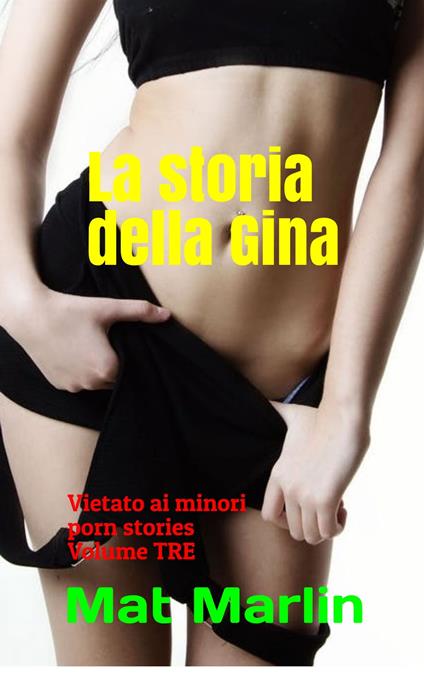 La storia della Gina, volume tre, (porn stories) - Mat Marlin - ebook