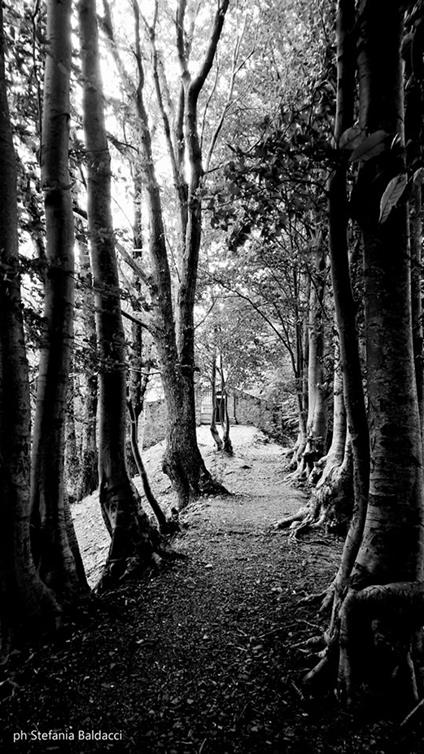 Ultime foglie d'autunno - angela simi - ebook