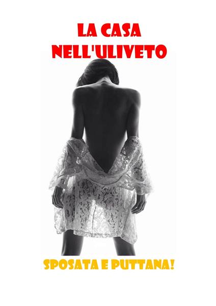 La casa nell'uliveto - Nina Lamica - ebook