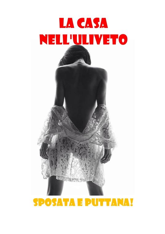 La casa nell'uliveto - Nina Lamica - ebook