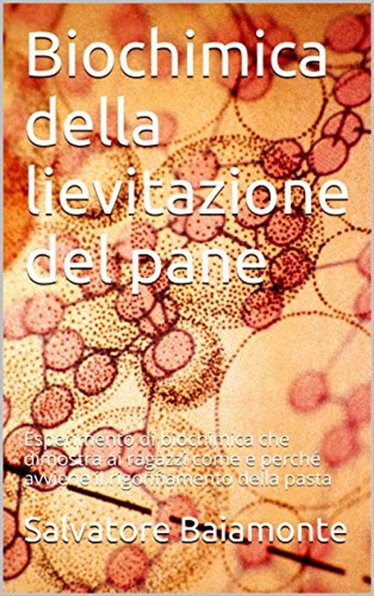 BIOCHIMICA DELLA LIEVITAZIONE DEL PANE - Salvatore Baiamonte - ebook
