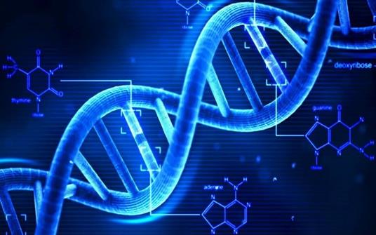 Il DNA, la prova certa?: biologia molecolare e processo penale trattati in maniera semplice - Salvatore Baiamonte - ebook