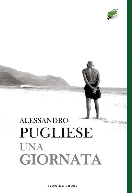 Una giornata - Alessandro Pugliese - ebook