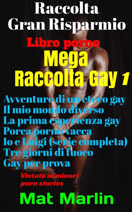 Mega raccolta gay - Mat Marlin - ebook