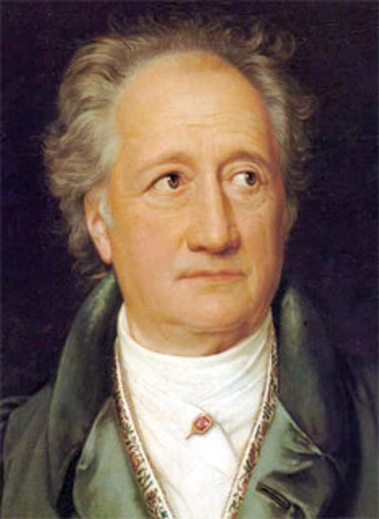 PRINCIPII DI FILOSOFIA ZOOLOGICA E ANATOMIA COMPARATA - VOLFANGO GOETHE - ebook