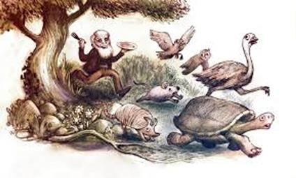 DIARIO DI UN NATURALISTA GIRAMONDO - Carlo Darwin - ebook