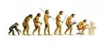LA TEORIA DI DARWIN