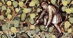 NOTIZIE DEL PUBBLICO GIARDINO DE' SEMPLICI DI PADOVA