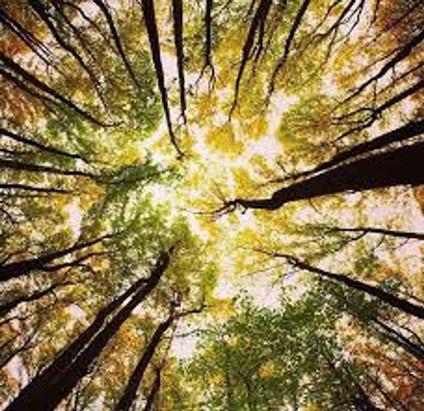 Uomini e idee del domani - Mario Morasso - ebook