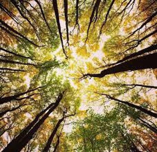 Uomini e idee del domani - Mario Morasso - ebook