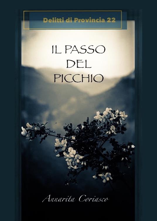 IL PASSO DEL PICCHIO - Annarita Coriasco - ebook