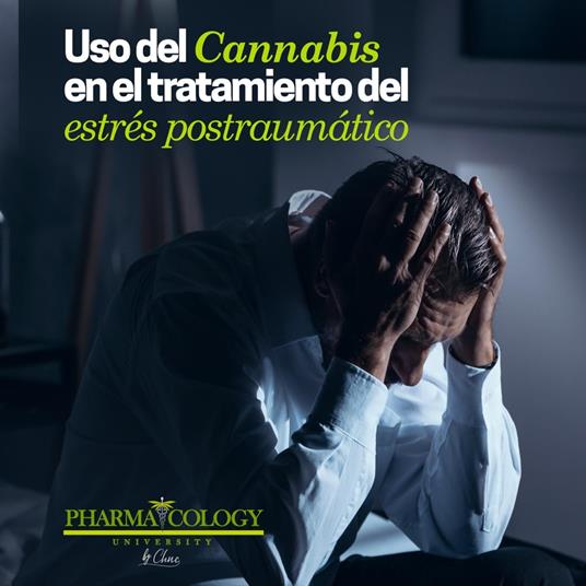 Uso del Cannabis en el tratamiento del estrés postraumático