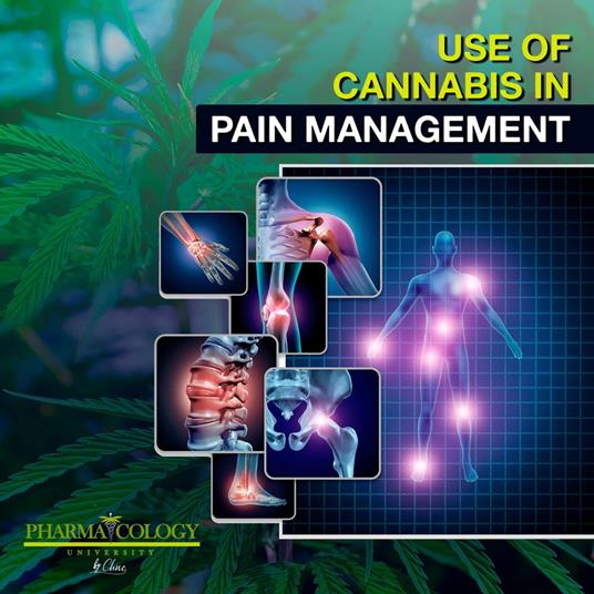 Use Of Cannabis In Pain Management