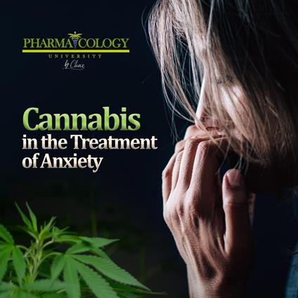 Cannabis in the Treatment of Anxiety